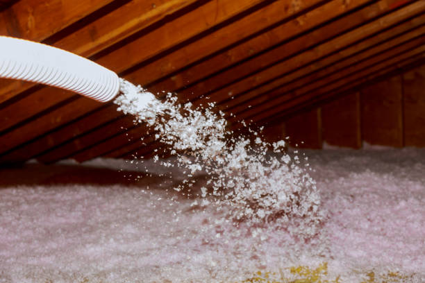 Best Basement Insulation  in Fayetteville, AL