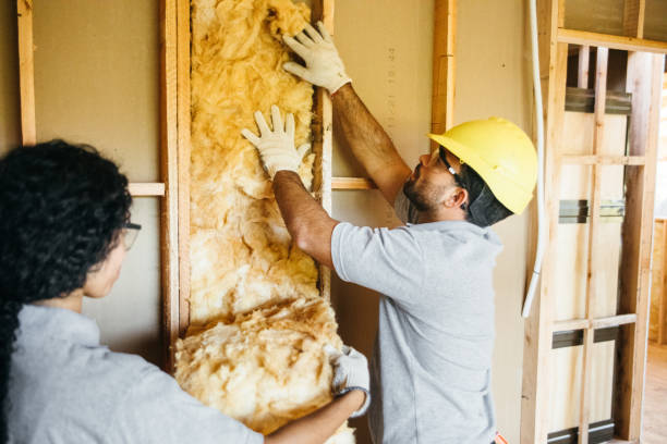 Types of Insulation We Offer in Fayetteville, AL